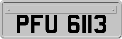 PFU6113