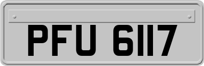 PFU6117