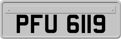 PFU6119
