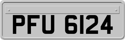 PFU6124