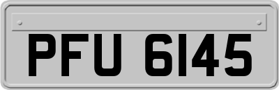 PFU6145