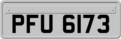 PFU6173