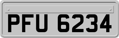 PFU6234