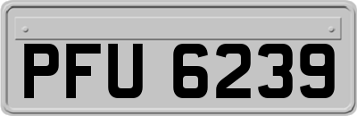 PFU6239
