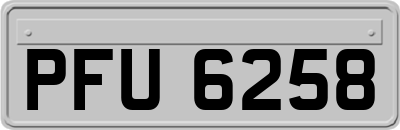 PFU6258