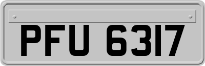 PFU6317