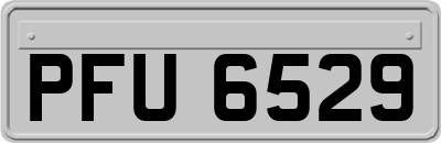 PFU6529