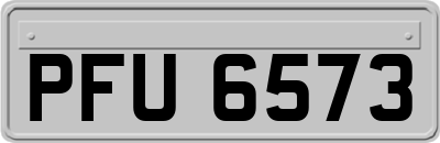 PFU6573