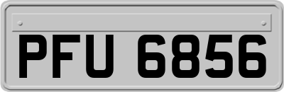 PFU6856