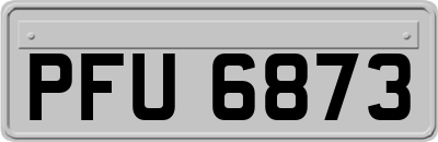 PFU6873