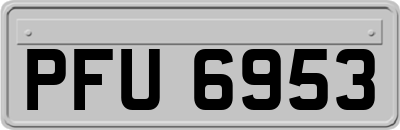 PFU6953