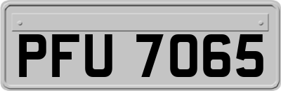 PFU7065