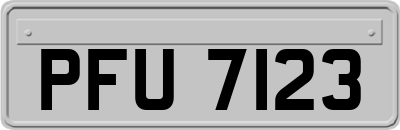 PFU7123