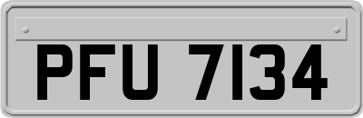 PFU7134