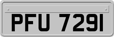 PFU7291