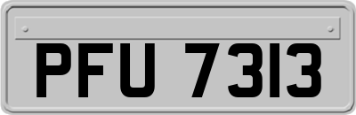 PFU7313