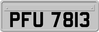 PFU7813