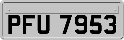 PFU7953