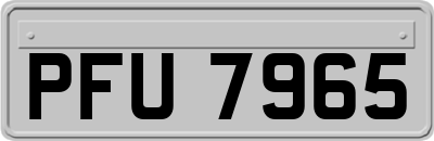 PFU7965