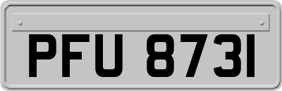 PFU8731