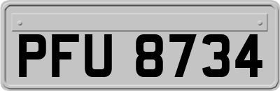 PFU8734