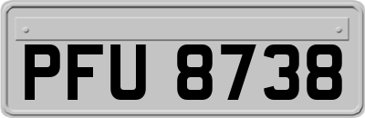 PFU8738