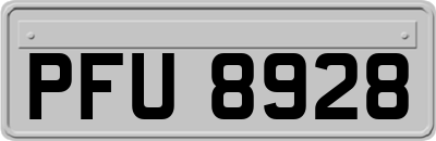 PFU8928