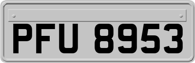 PFU8953