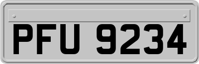 PFU9234
