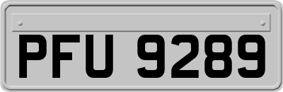 PFU9289