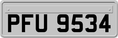 PFU9534