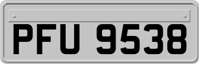 PFU9538
