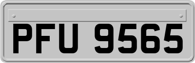 PFU9565