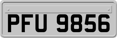 PFU9856