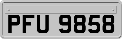 PFU9858