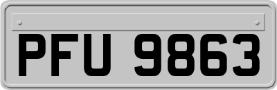 PFU9863