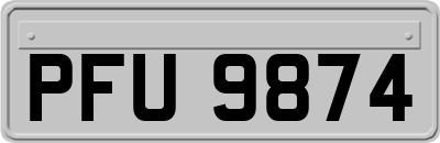 PFU9874