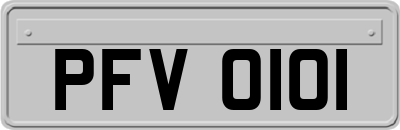 PFV0101