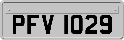 PFV1029