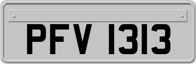 PFV1313