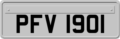 PFV1901