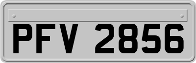 PFV2856