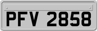 PFV2858