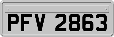PFV2863