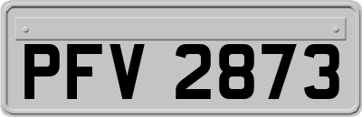 PFV2873