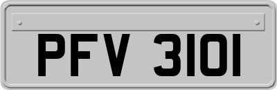 PFV3101