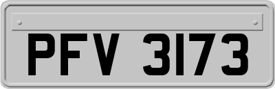 PFV3173