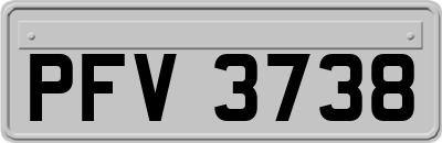 PFV3738