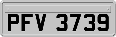 PFV3739