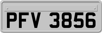 PFV3856